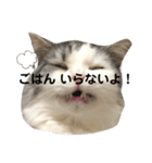 豆乳と書いて、ソイと読みます。4（個別スタンプ：8）