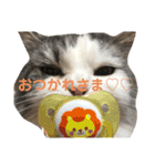 豆乳と書いて、ソイと読みます。4（個別スタンプ：15）