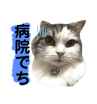 豆乳と書いて、ソイと読みます。4（個別スタンプ：17）
