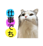 豆乳と書いて、ソイと読みます。4（個別スタンプ：21）