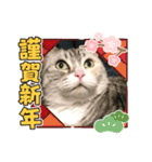 ほたるスタンプ4号（個別スタンプ：5）