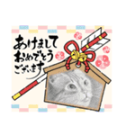 ほたるスタンプ4号（個別スタンプ：7）
