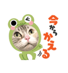 ほたるスタンプ4号（個別スタンプ：10）