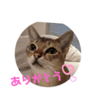 まめ太郎Life vol.5（個別スタンプ：6）