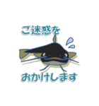 鯰（ナマズ）スタンプ（個別スタンプ：13）