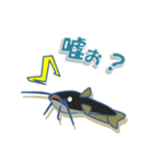 鯰（ナマズ）スタンプ（個別スタンプ：15）