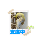 ゆきちゃん宅スタンプ22（個別スタンプ：4）