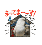 ゆきちゃん宅スタンプ22（個別スタンプ：5）