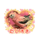 ゆきちゃん宅スタンプ22（個別スタンプ：6）