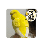 ゆきちゃん宅スタンプ22（個別スタンプ：8）
