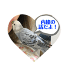 ゆきちゃん宅スタンプ22（個別スタンプ：13）