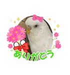 ゆきちゃん宅スタンプ22（個別スタンプ：18）