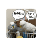 ゆきちゃん宅スタンプ22（個別スタンプ：20）