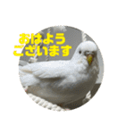 ゆきちゃん宅スタンプ22（個別スタンプ：21）