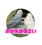 ゆきちゃん宅スタンプ22（個別スタンプ：23）