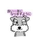 2022★笑うシュナには福来る★年末年始（個別スタンプ：4）