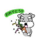 2022★笑うシュナには福来る★年末年始（個別スタンプ：8）