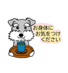 2022★笑うシュナには福来る★年末年始（個別スタンプ：11）