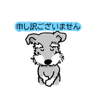 2022★笑うシュナには福来る★年末年始（個別スタンプ：21）