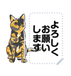 猫様いっぱい〜座り その4〜（個別スタンプ：1）