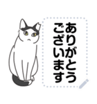 猫様いっぱい〜座り その3〜（個別スタンプ：10）