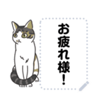 猫様いっぱい〜座り その3〜（個別スタンプ：13）