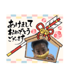 りょーたの冬休み（個別スタンプ：5）