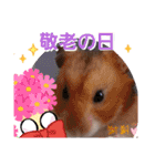 ハムスターとデグーの行事等（個別スタンプ：20）