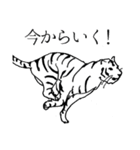 【2022年】使える正月・寅年スタンプ（個別スタンプ：16）