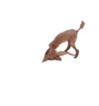 言葉にできない時の犬スタンプ2（個別スタンプ：1）