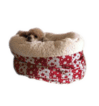 言葉にできない時の犬スタンプ2（個別スタンプ：2）