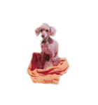 言葉にできない時の犬スタンプ2（個別スタンプ：11）
