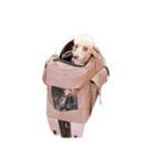 言葉にできない時の犬スタンプ2（個別スタンプ：13）