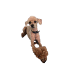 言葉にできない時の犬スタンプ2（個別スタンプ：16）