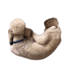 言葉にできない時の犬スタンプ2（個別スタンプ：18）