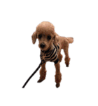 言葉にできない時の犬スタンプ2（個別スタンプ：24）