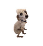 言葉にできない時の犬スタンプ2（個別スタンプ：27）