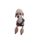 言葉にできない時の犬スタンプ2（個別スタンプ：28）