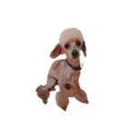 言葉にできない時の犬スタンプ2（個別スタンプ：29）