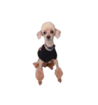 言葉にできない時の犬スタンプ2（個別スタンプ：31）
