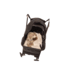 言葉にできない時の犬スタンプ2（個別スタンプ：33）
