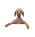 言葉にできない時の犬スタンプ2（個別スタンプ：35）
