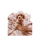 言葉にできない時の犬スタンプ2（個別スタンプ：37）