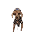 言葉にできない時の犬スタンプ2（個別スタンプ：38）