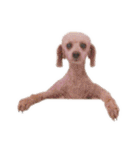言葉にできない時の犬スタンプ2（個別スタンプ：39）