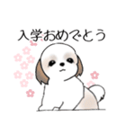 Stickers_Shih Tzu_h シーズースタンプ（個別スタンプ：2）