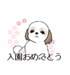 Stickers_Shih Tzu_h シーズースタンプ（個別スタンプ：6）