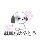 Stickers_Shih Tzu_h シーズースタンプ（個別スタンプ：7）