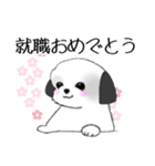 Stickers_Shih Tzu_h シーズースタンプ（個別スタンプ：8）