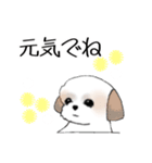 Stickers_Shih Tzu_h シーズースタンプ（個別スタンプ：9）